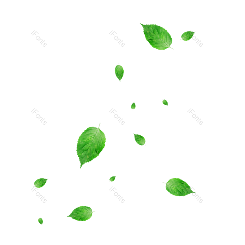 叶子图片,夏天元素,绿叶PNG,树叶免抠素材